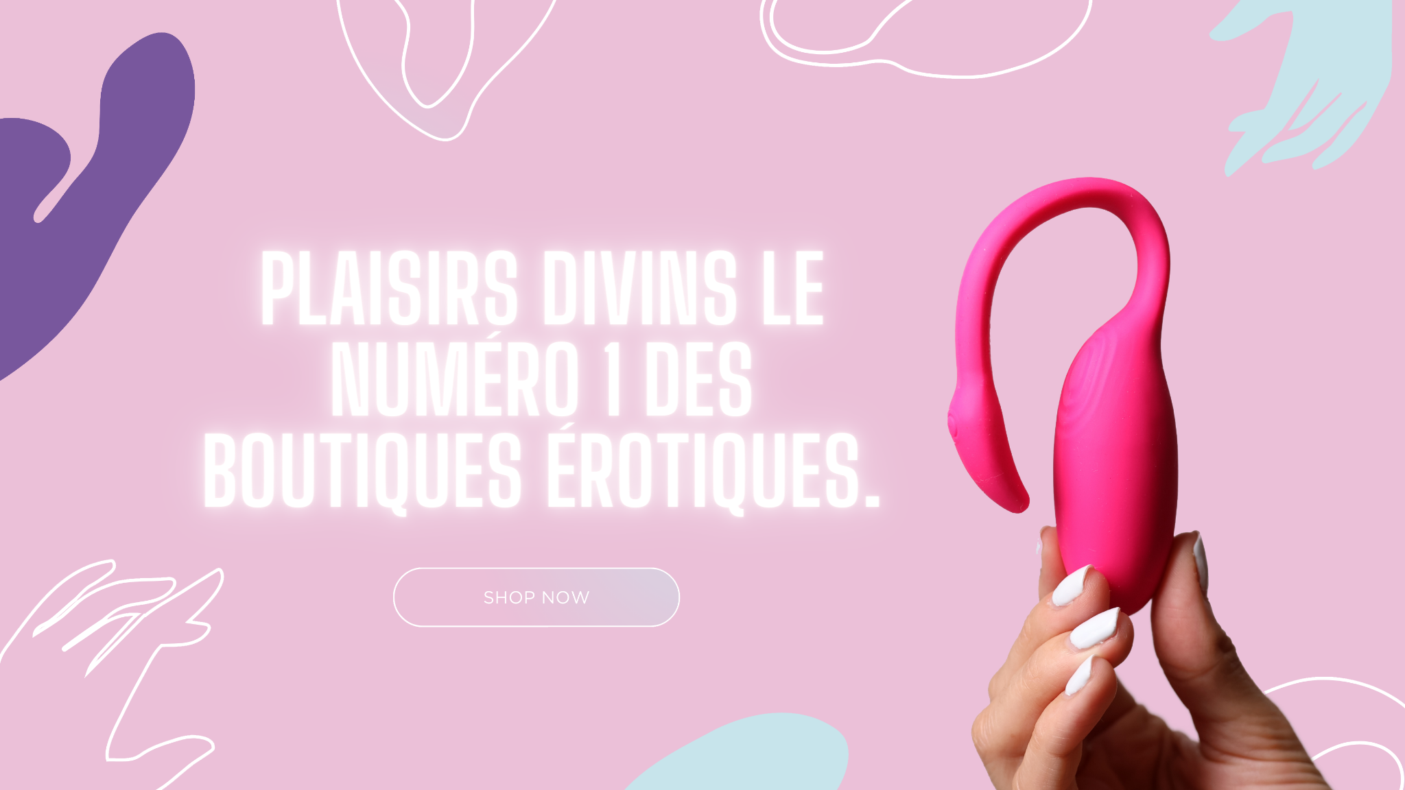 Plaisirs-Divins-Sextoys-Banner