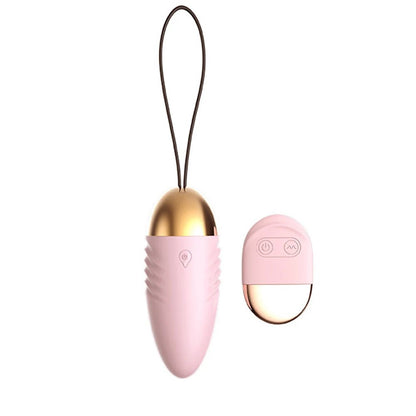 Vibromasseur Egg Télécommandé - Plaisirs Divins